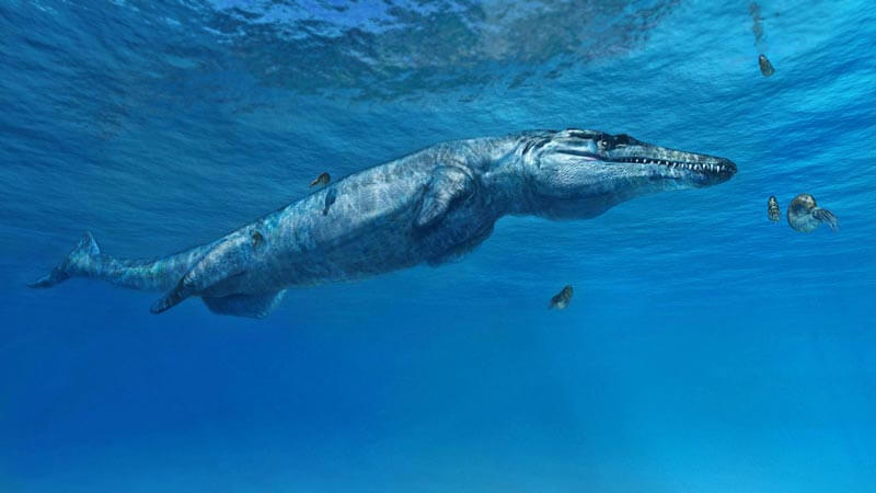 Oceani Perduti: i giganti marini del Mesozoico tornano in vita a Pavia