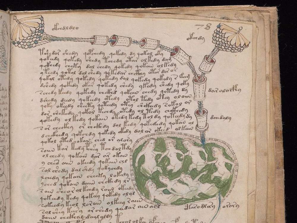 Manoscritto Voynich