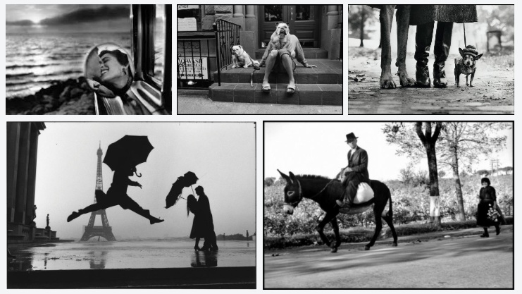 I grandi scatti di Elliott Erwitt: ironia e umanità nella fotografia di strada