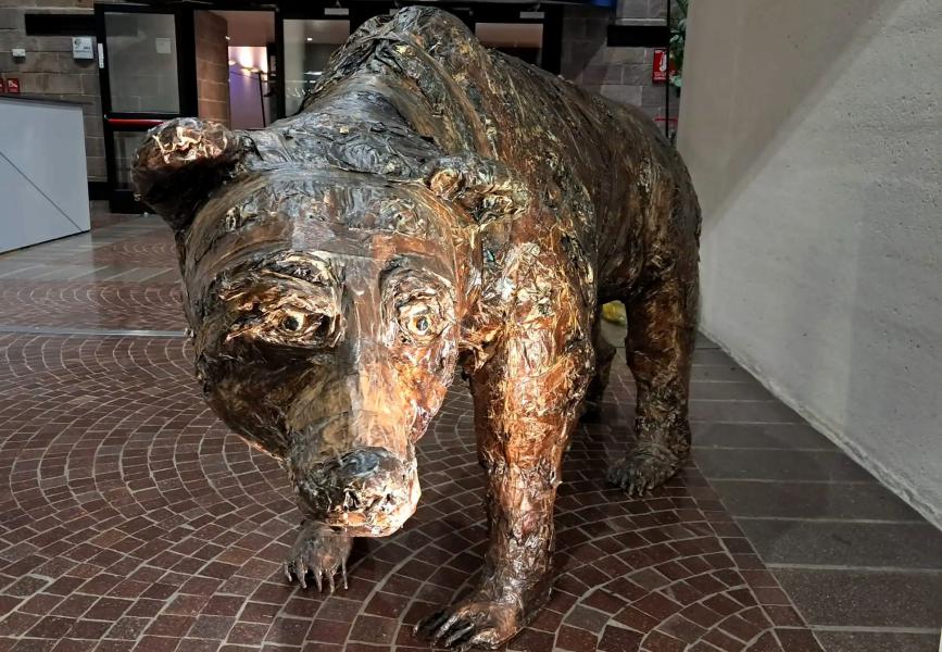 Il lato bello e utile del rifiuto