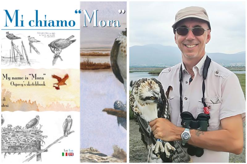 “Mi chiamo Mora. Storia dei falchi pescatori di Orbetello”: la recensione del libro di Alessandro Troisi