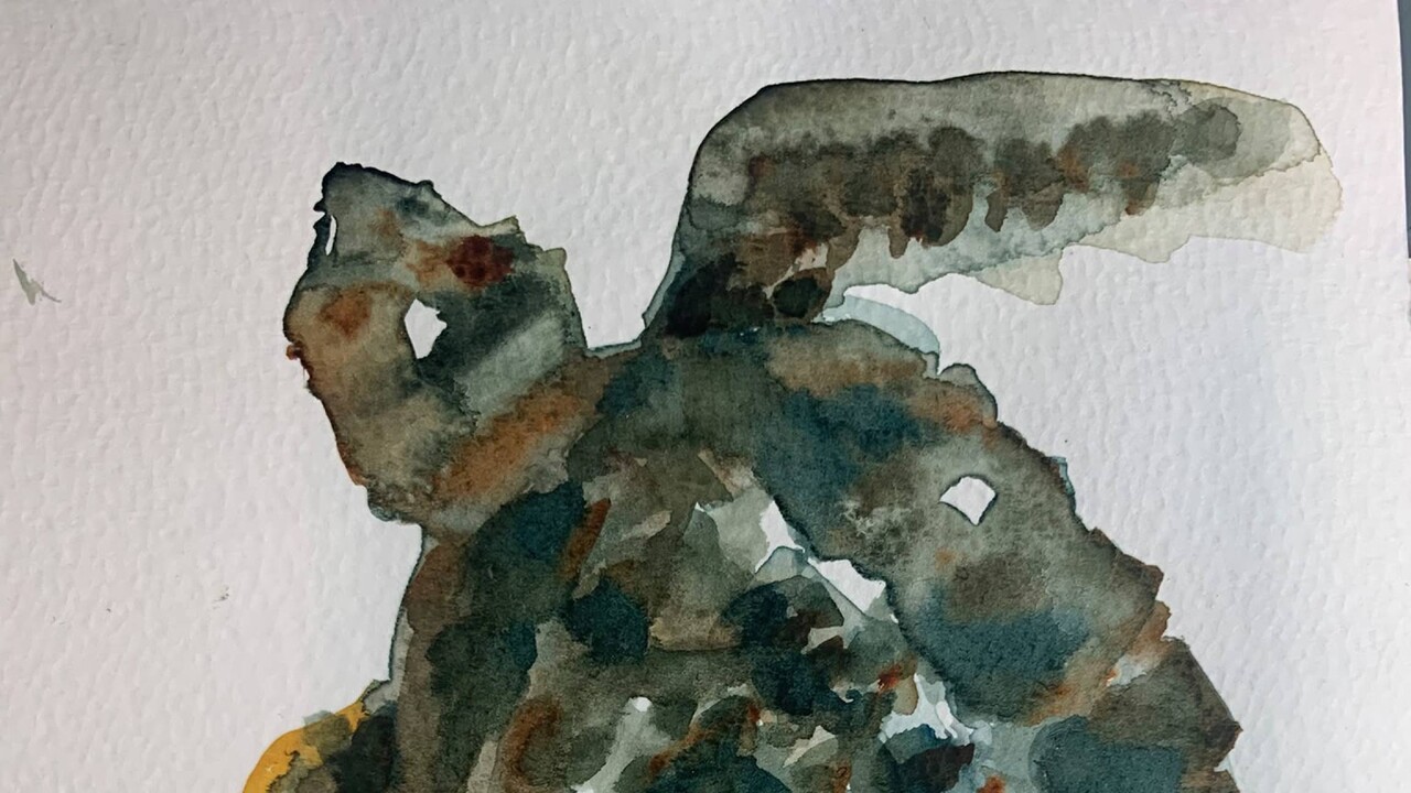 Cagliari, arte e scienza per raccontare la fauna marina: una mostra e un fumetto al Lazzaretto